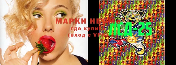 тгк Верея