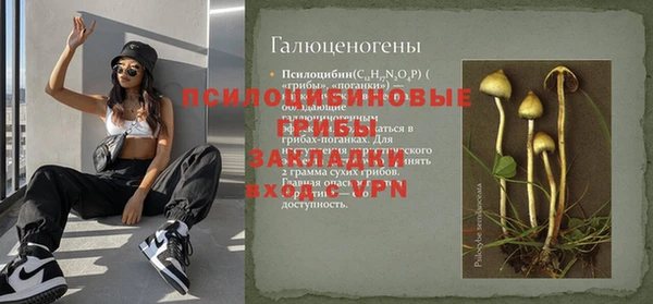 гашик Верхнеуральск