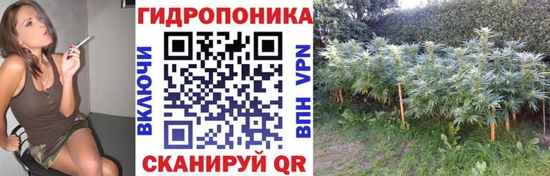 Конопля AK-47  Купить  Макарьев 